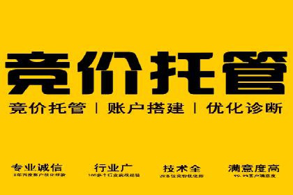 案例剖析：SEM竞价优化助力企业快速抢占市场